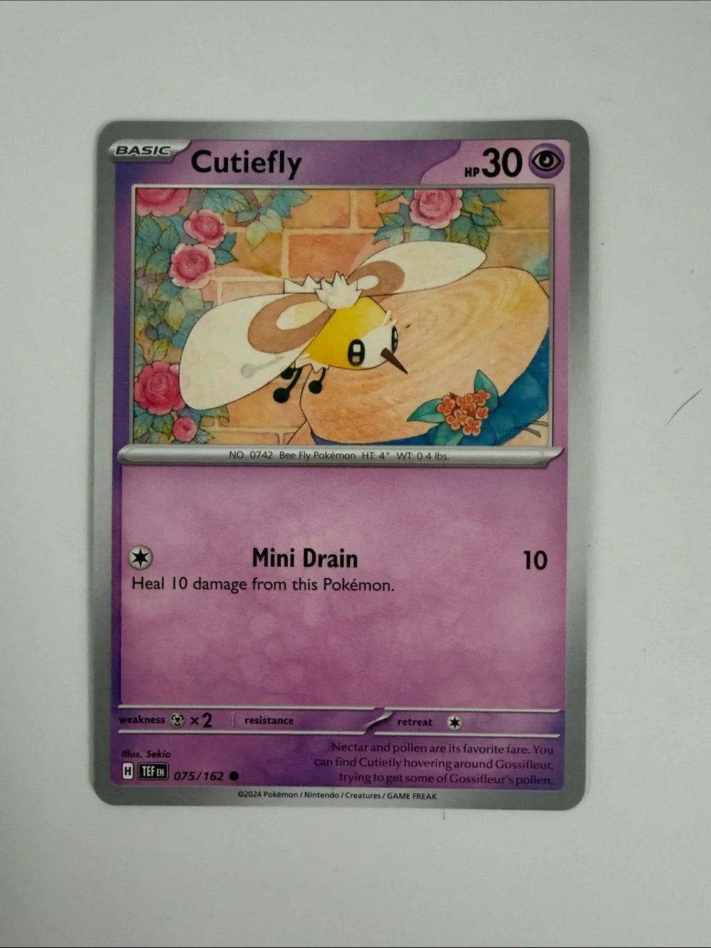 💖 Cute Pokémon Card Lot | Fidough Dachsbun Cutiefly Shinx Slowpoke ✨5/$25✨